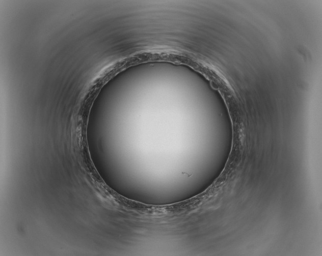 X0000112480968200908241251