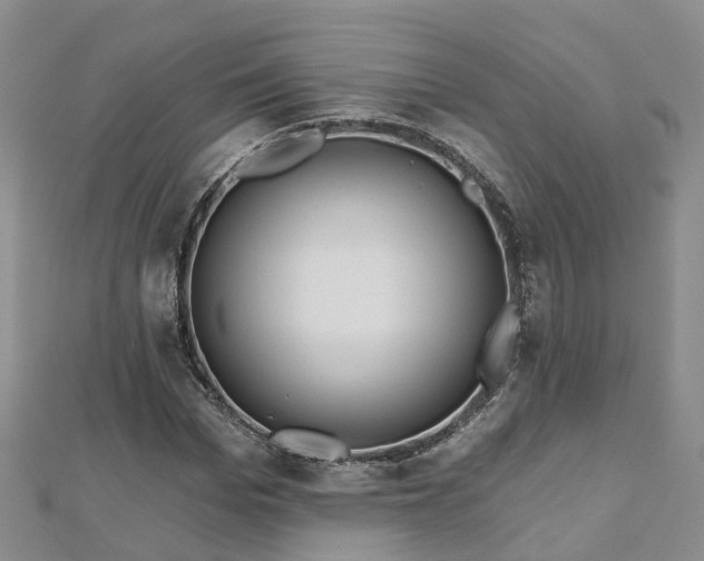X0000112480969200908241251