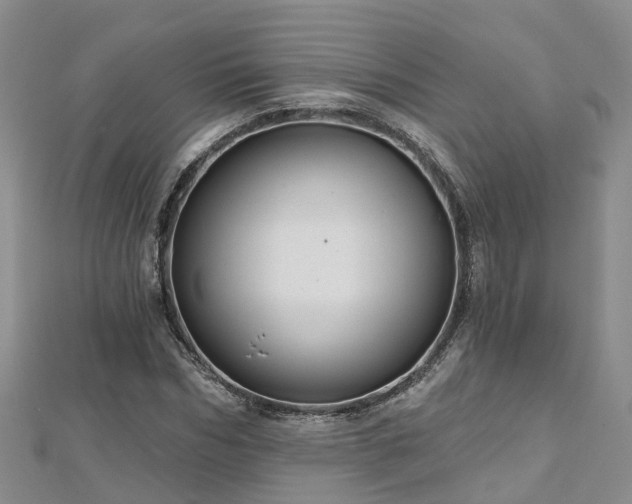 X0000112480970200908241251