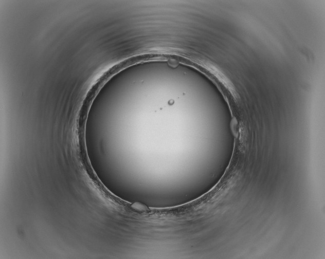 X0000112480972200908241251
