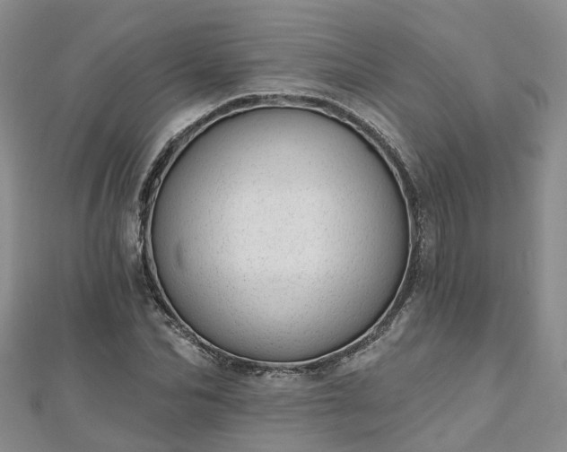 X0000112480974200908241251