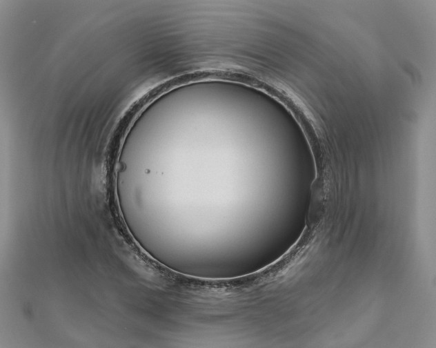 X0000112480975200908241251