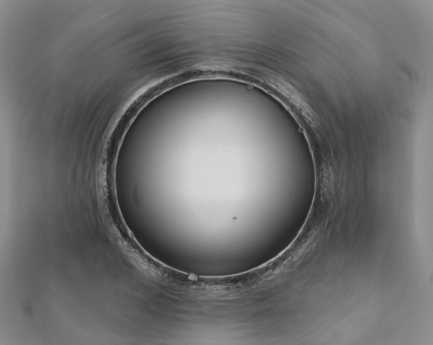 X0000112480976200908241251