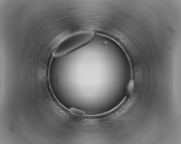 X0000112480977200908241251