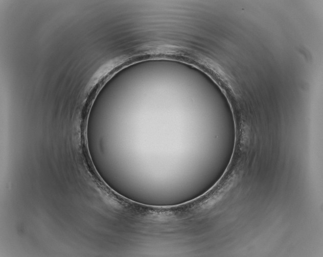 X0000112480978200908241251