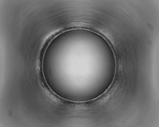 X0000112480979200908241251