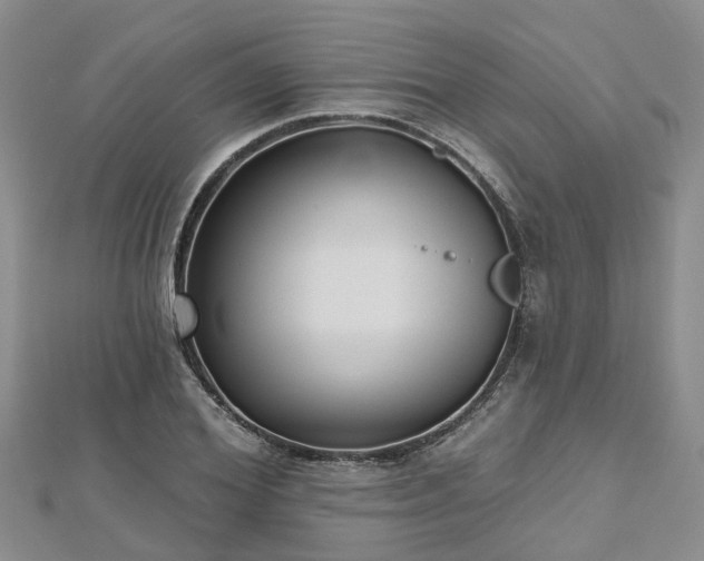 X0000112480980200908241250