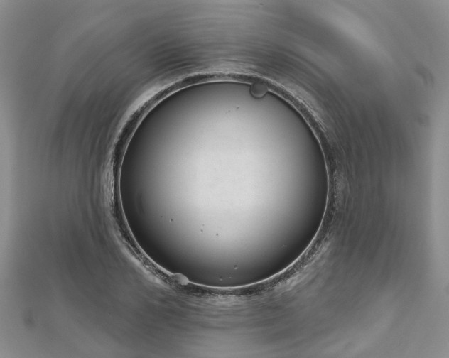 X0000112480982200908241250
