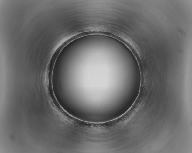 X0000112480983200908241250