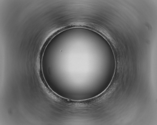 X0000112480984200908241250