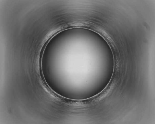 X0000112480986200908241250