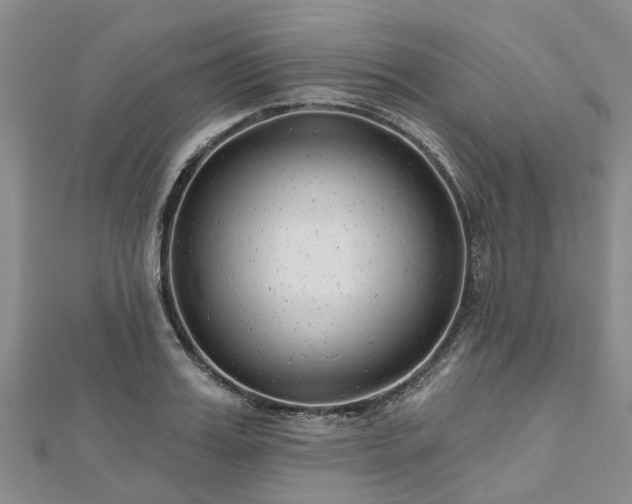 X0000112480987200908241250