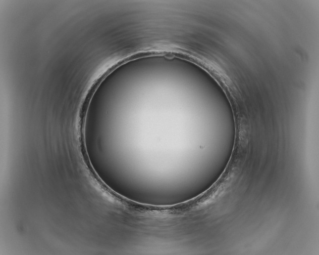 X0000112480990200908241250