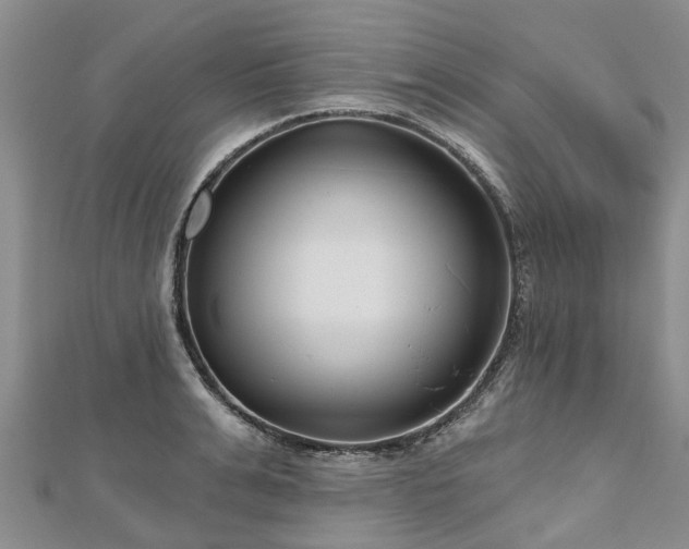X0000112480991200908241250
