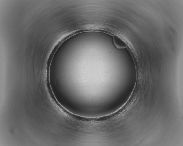 X0000112480992200908241250