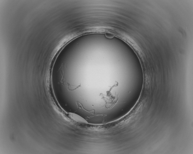 X0000112480994200908241250