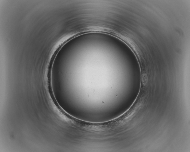 X0000112480995200908241250