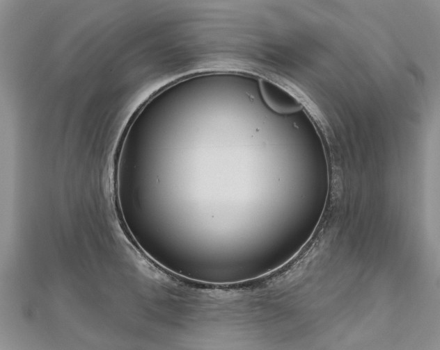 X0000112480996200908241250