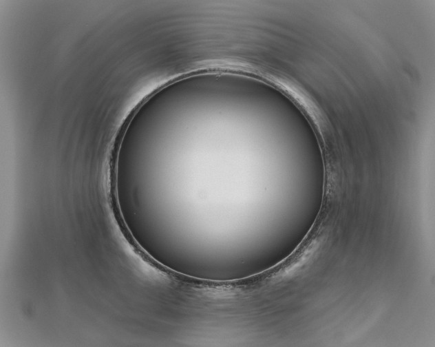 X0000112480999200908241250