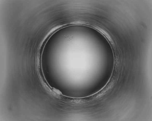X0000112481000200908241250