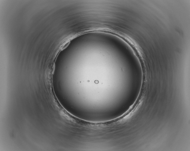 X0000112481001200908241250
