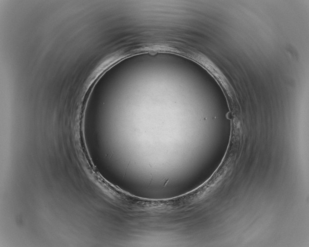 X0000112481002200908241250