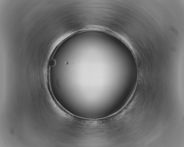 X0000112481003200908241250