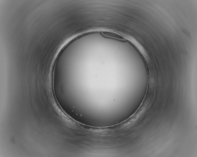 X0000112481004200908241250
