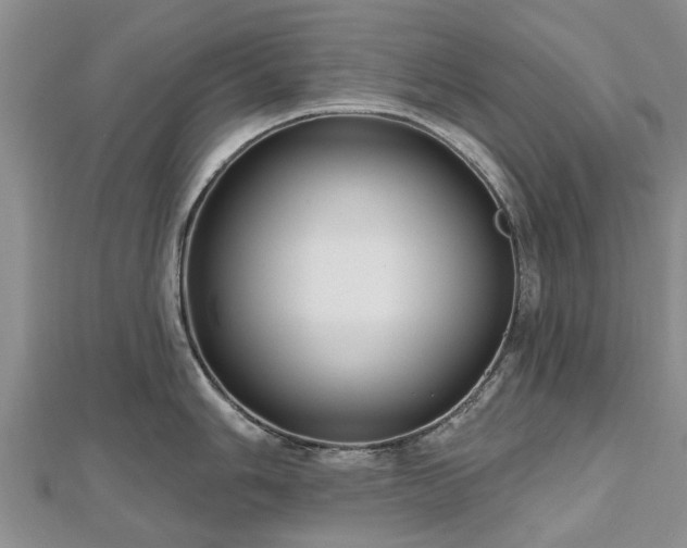 X0000112481006200908241250