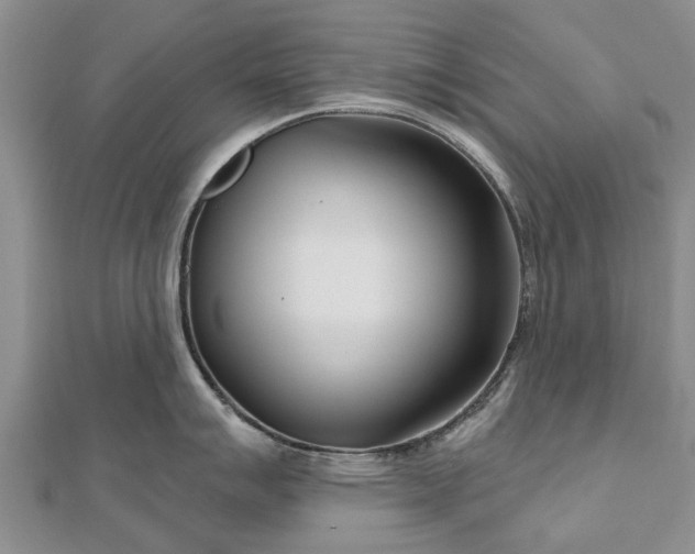 X0000112481007200908241250