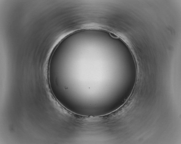 X0000112481008200908241250