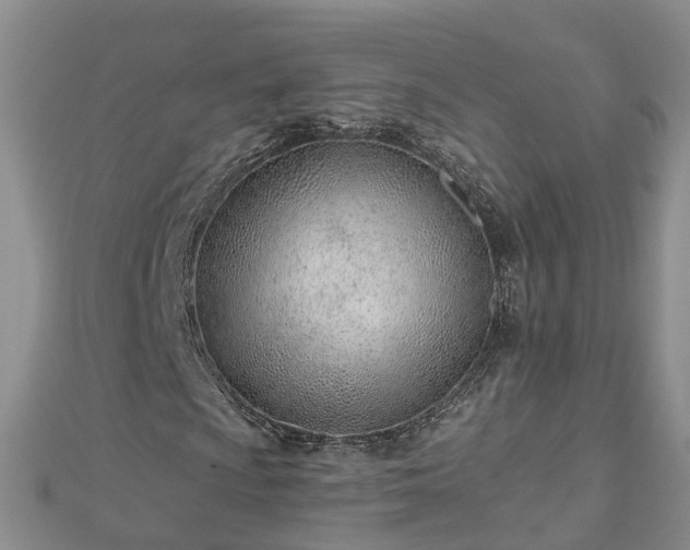 X0000112481009200908241250