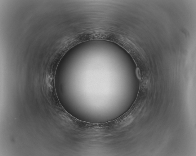 X0000112481010200908241250