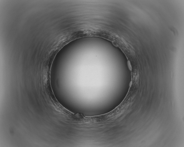 X0000112481012200908241250