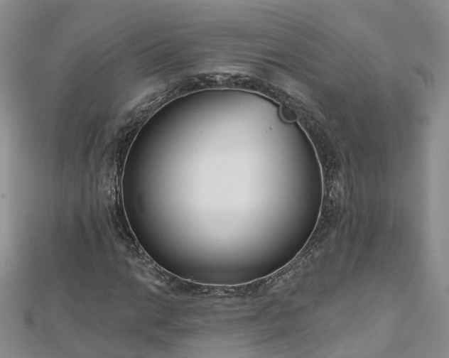 X0000112481014200908241250