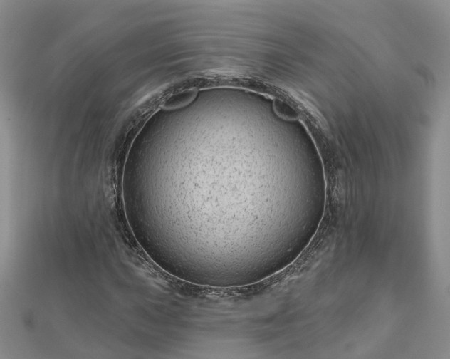 X0000112481015200908241250
