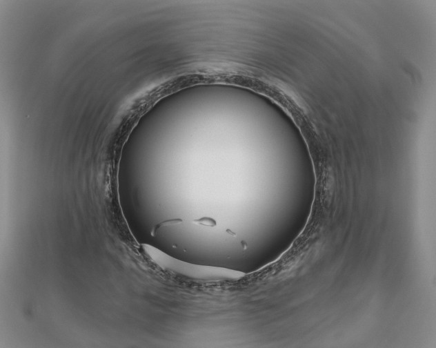 X0000112481016200908241250