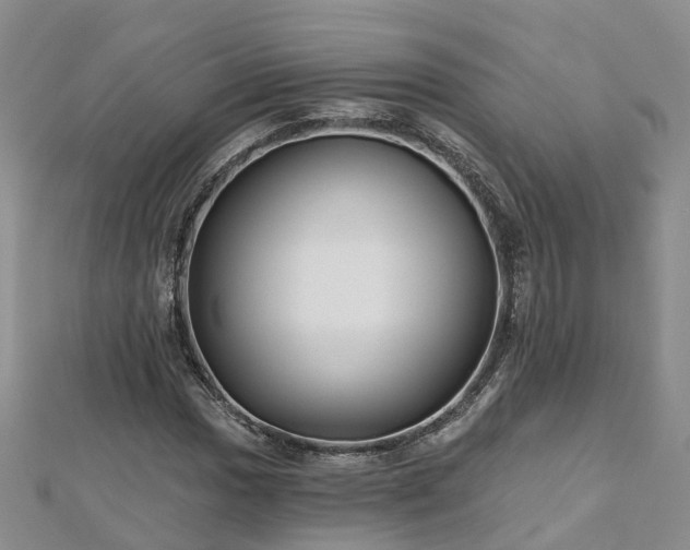 X0000112481017200908241250