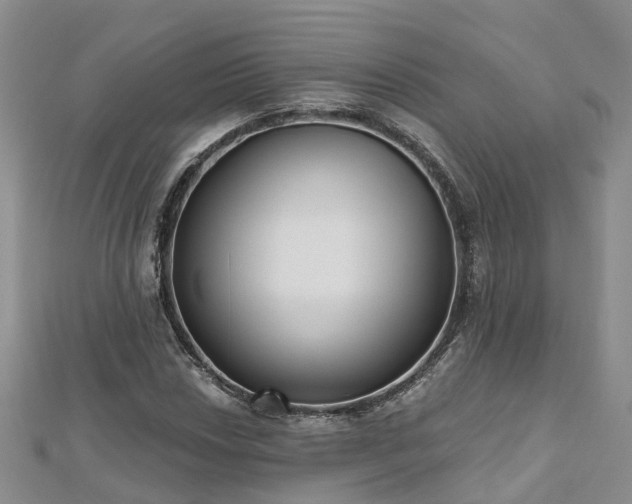 X0000112481018200908241250