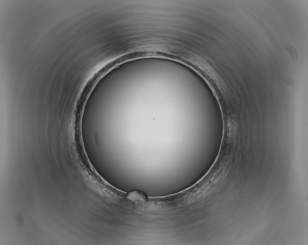 X0000112481020200908241250