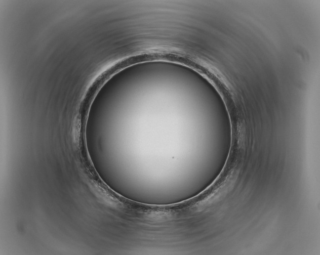 X0000112481021200908241250