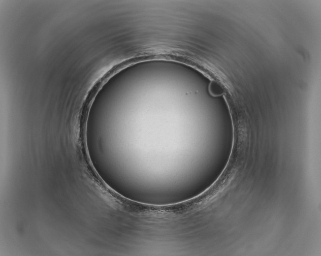 X0000112481023200908241250