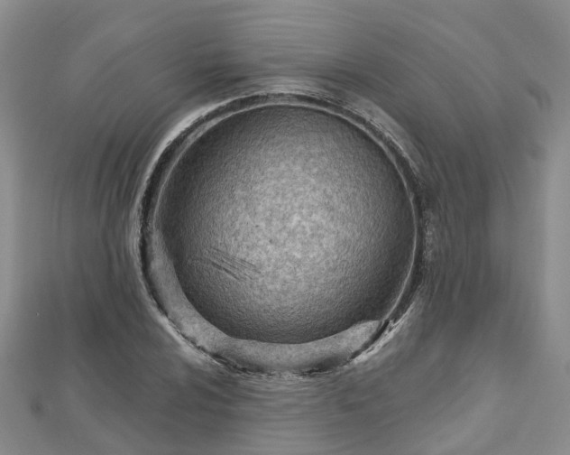 X0000112481024200908241250