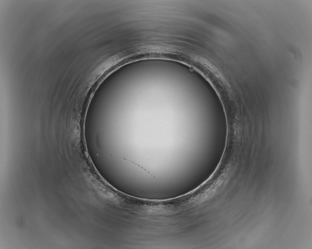 X0000112481025200908241250