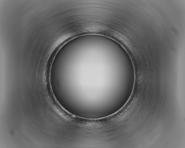 X0000112481026200908241250