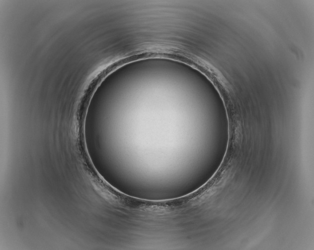 X0000112481027200908241250