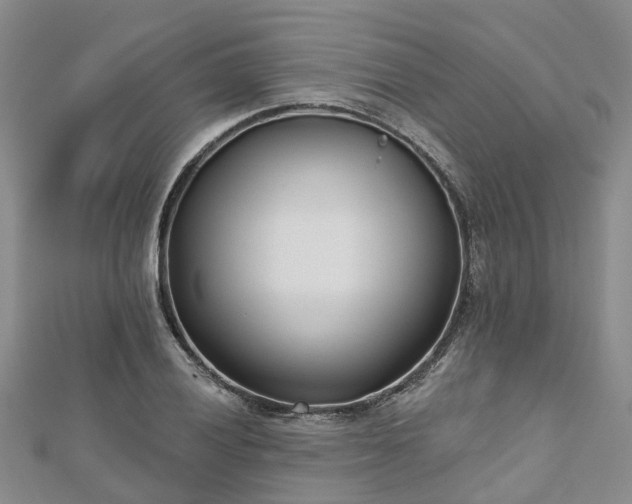 X0000112481028200908241250