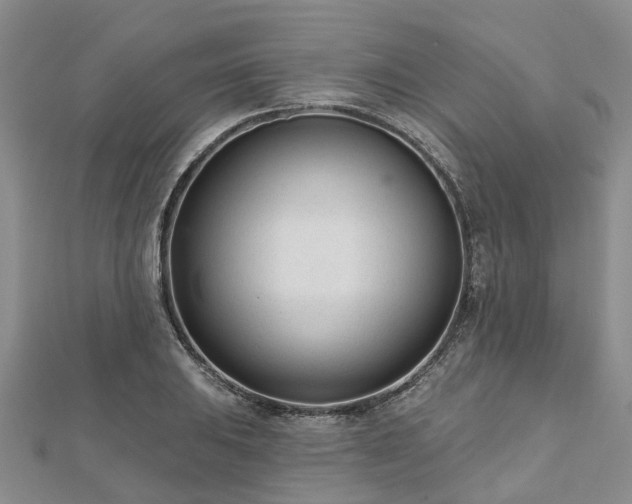 X0000112481031200908241250