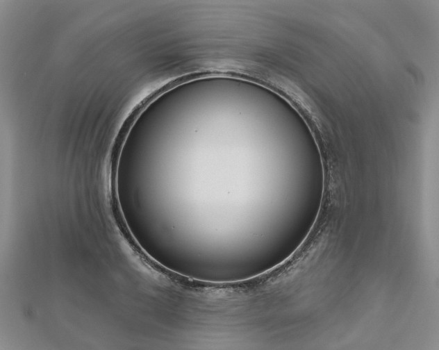X0000112481032200908241250