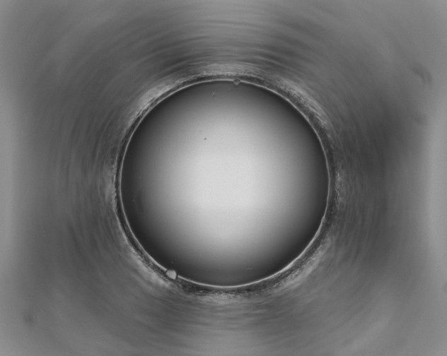X0000112481033200908241250